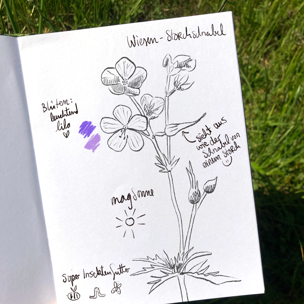 Naturtagebuch-Workshop_klein