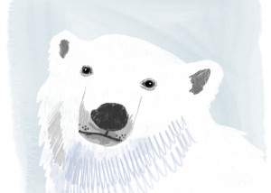 sarah chand illustration Lieblingstier Eisbär