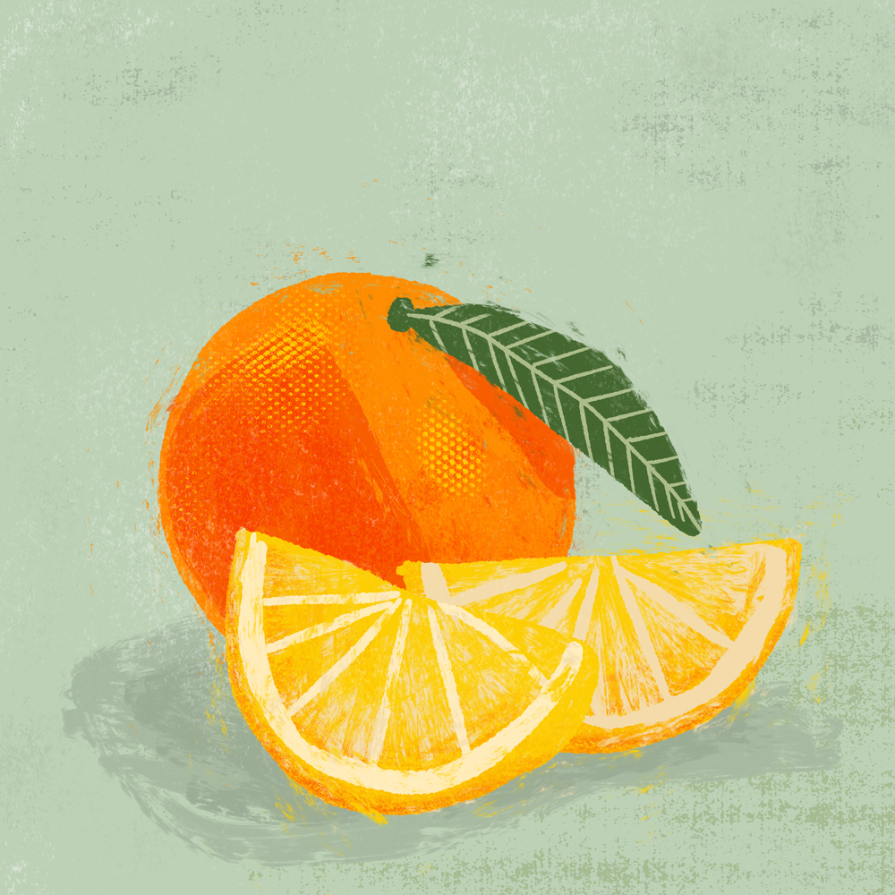 sarah chand food illustration orange (digitale illustration)