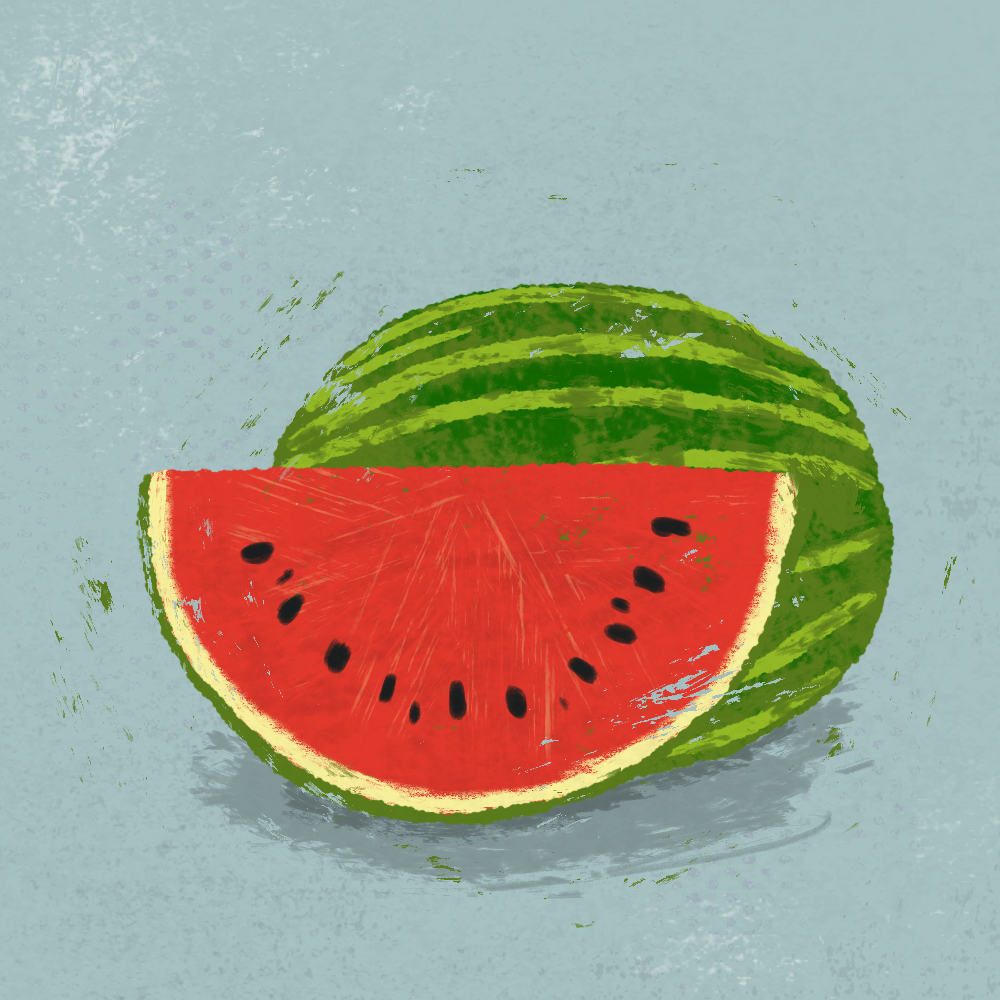 sarah chand food illustration melone (digitale illustration)