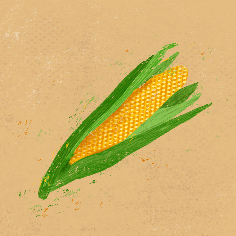 sarah chand food illustration mais (digitale illustration)