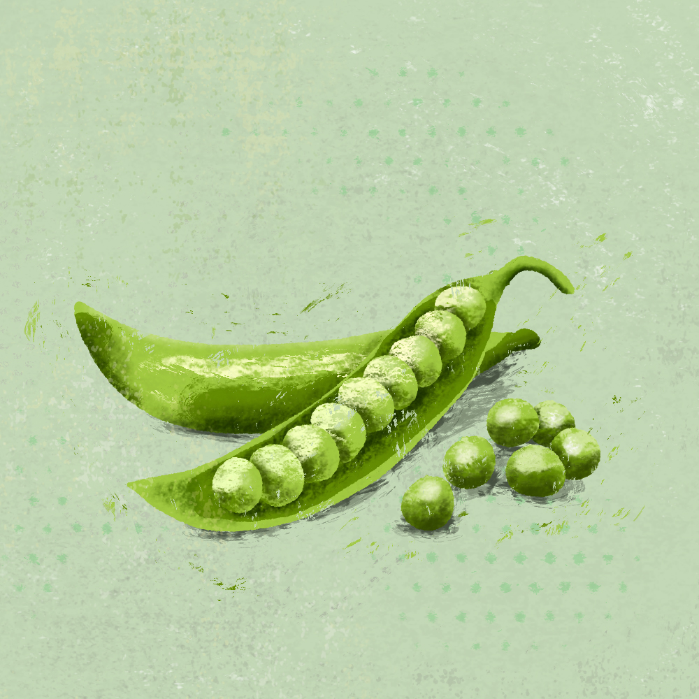 sarah chand food illustration zuckererbsen erbsen (digitale illustration)