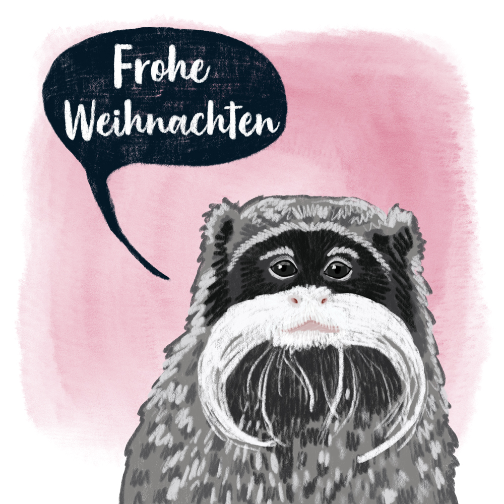 sarah chand digitale illustration Lieblingstier Kaiserschnurrbarttamarin
